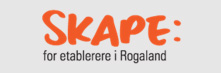 Skape logo